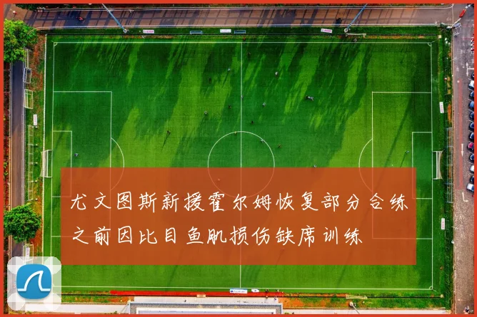 尤文图斯新援霍尔姆恢复部分合练之前因比目鱼肌损伤缺席训练