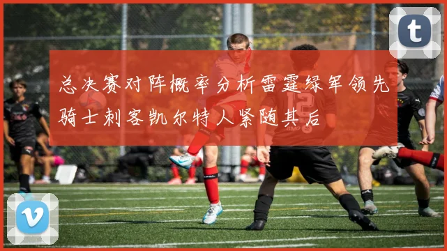 总决赛对阵概率分析雷霆绿军领先骑士刺客凯尔特人紧随其后